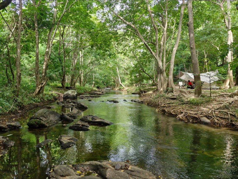 บรรยากาศ The Nature Camp