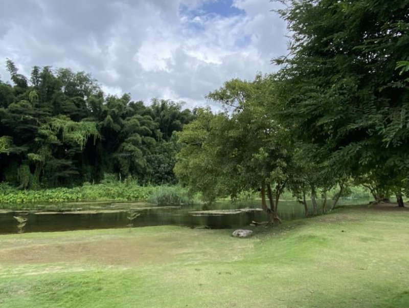 บรรยากาศ แค้มป์ใหม่สวนผึ้ง นภาดูดาว