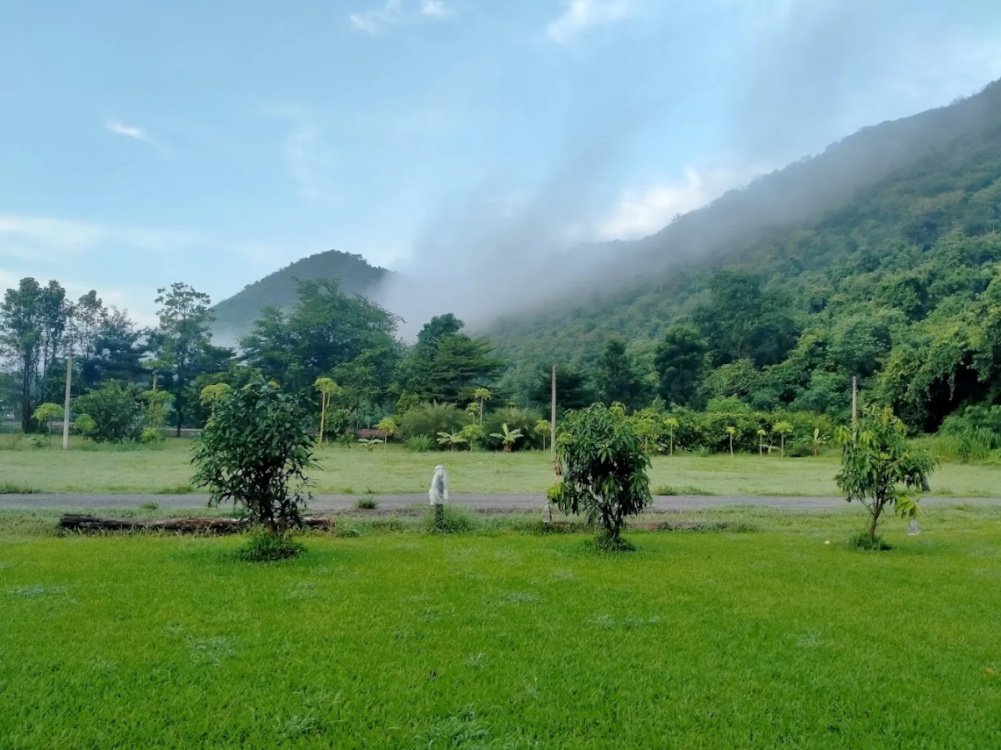 บรรยากาศ กุ้งแคมป์ (Kung Camp)