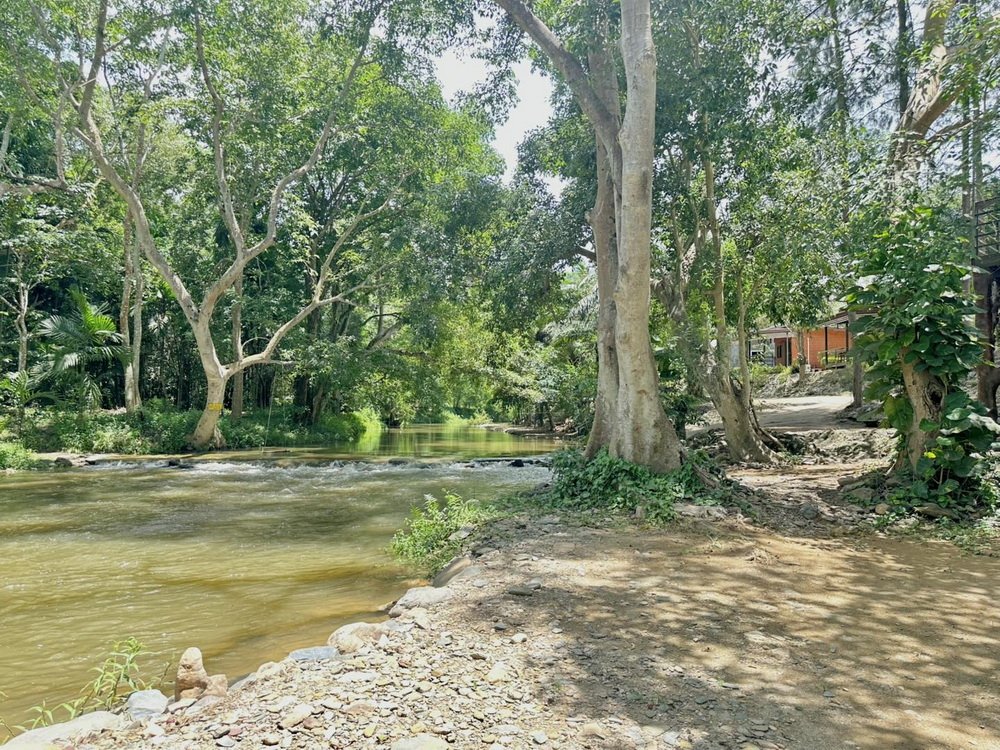 บรรยากาศ ต้นน้ำโฮมสเตย์ สวนผึ้ง TonnamHomestay