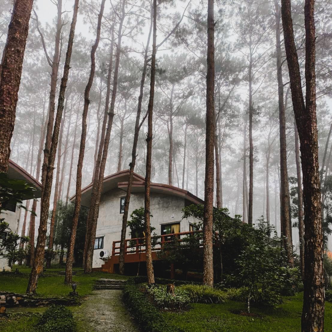 รูปที่ 5 จาก 16 · สวนป่าดอยบ่อหลวง องค์การอุตสาหกรรมป่าไม้