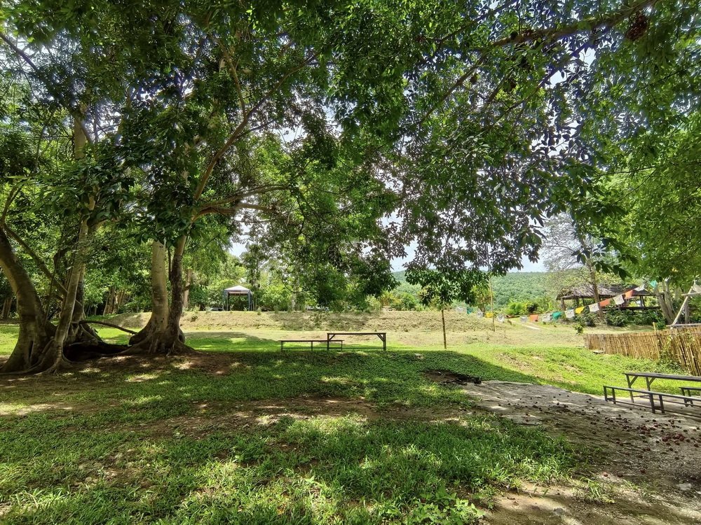 บรรยากาศ ไร่สายชล Camping