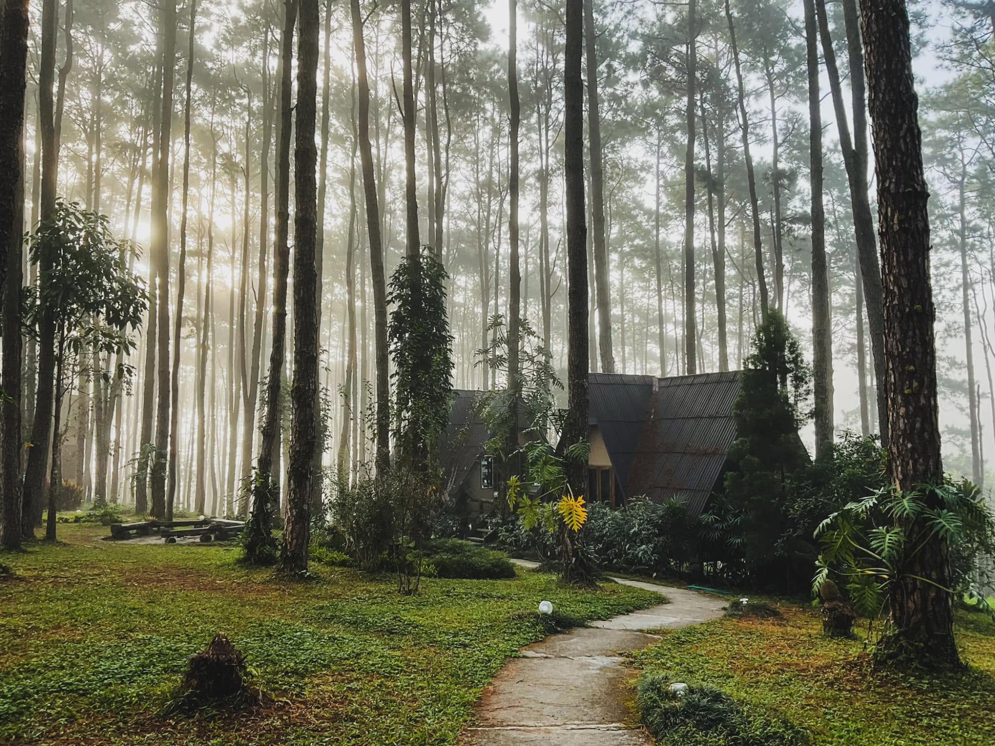 บรรยากาศ สวนป่าดอยบ่อหลวง องค์การอุตสาหกรรมป่าไม้