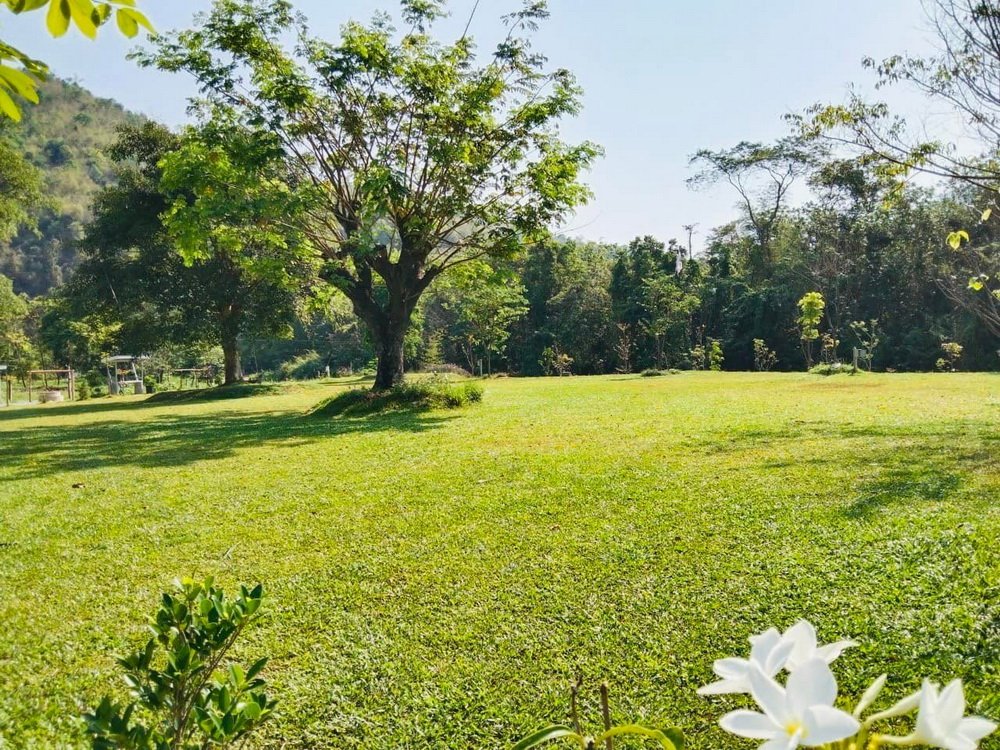 บรรยากาศ The Bee Camping สวนผึ้ง