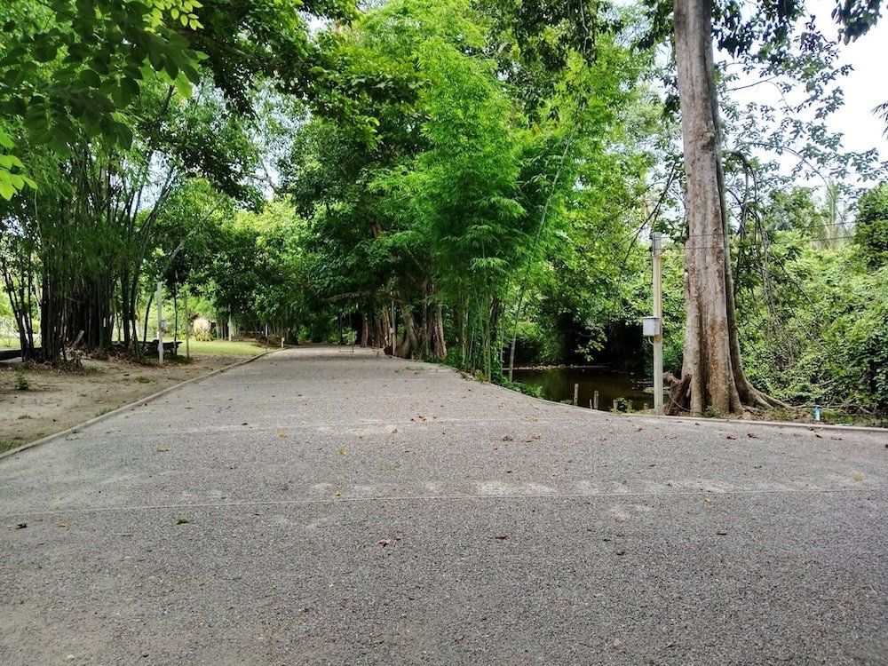 บรรยากาศ The Chill Camp สวนผึ้ง
