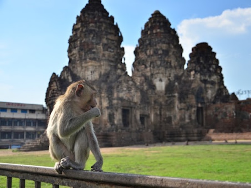 จุดกางเต็นท์ลพบุรี