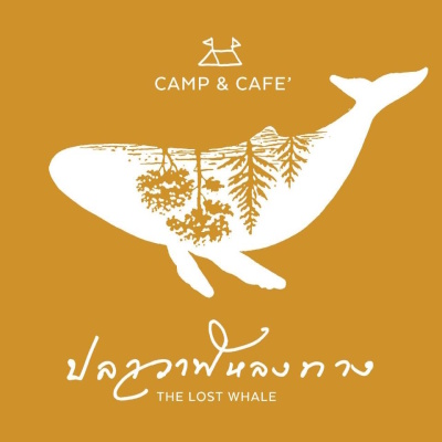 ปลาวาฬหลงทาง CAMP & CAFE'